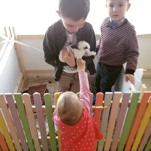 Аренда детской игровой комнаты АРБУЗ на праздник+контактный зоопарк