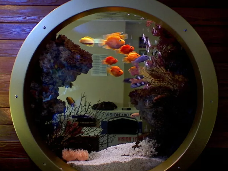 офисный аквариум
